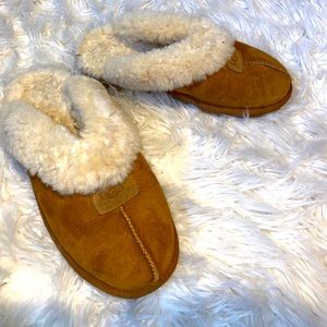 UGG chestnut slippers